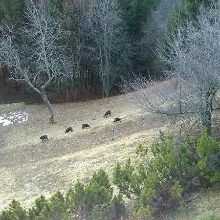 Apartamento Domaine De La Croix De Javernaz Villars-sur-Ollon