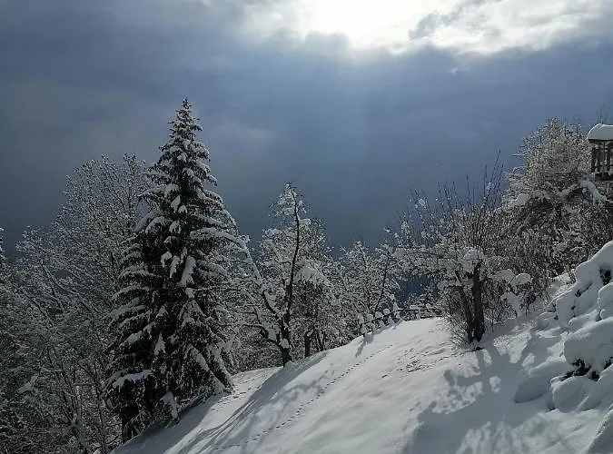 Lejlighed Domaine De La Croix De Javernaz Villars-sur-Ollon