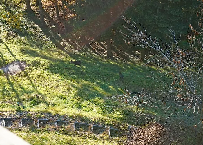 Domaine De La Croix De Javernaz