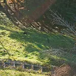 Domaine De La Croix De Javernaz