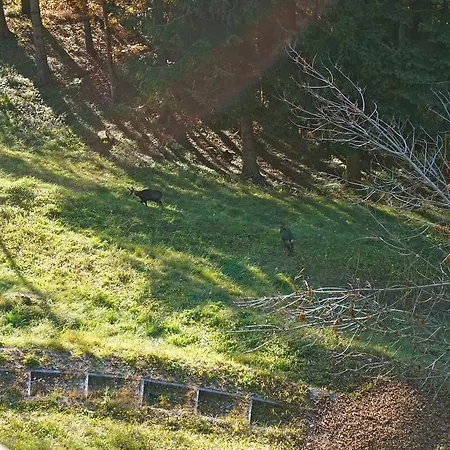 Domaine De La Croix De Javernaz