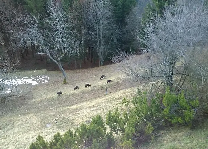 شقة Domaine De La Croix De Javernaz فيلرز سور اولون